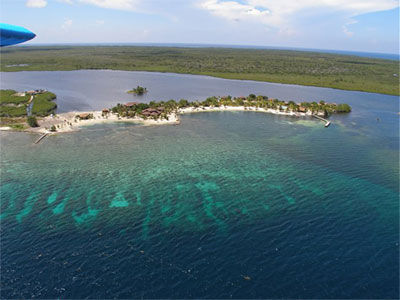 Laguna Beach Resort Utila Exteriör bild