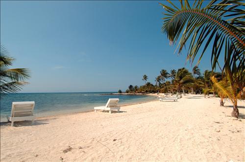 Laguna Beach Resort Utila Bekvämligheter bild